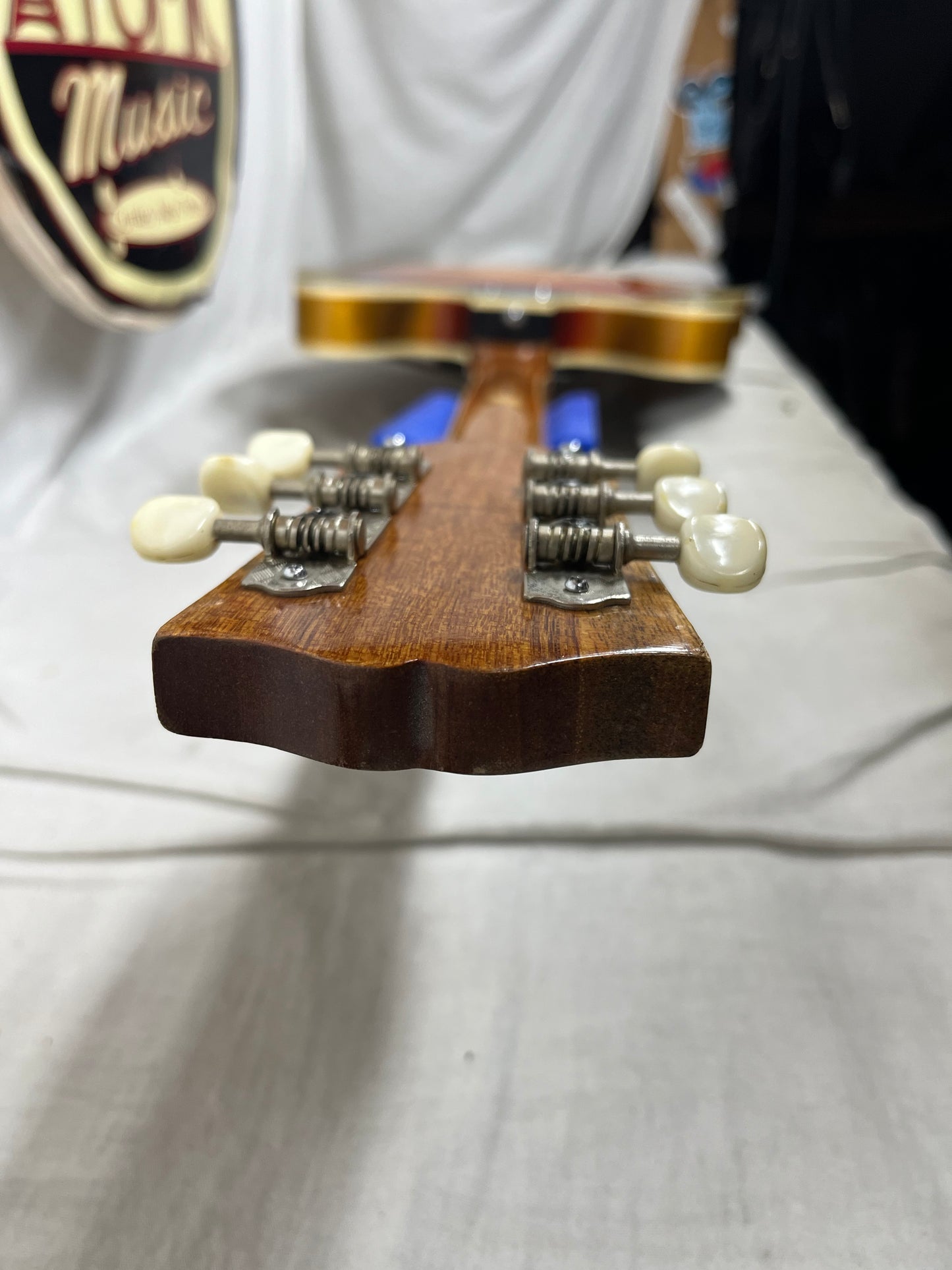 Winston? Semi-Hollow Body Electric Guitar