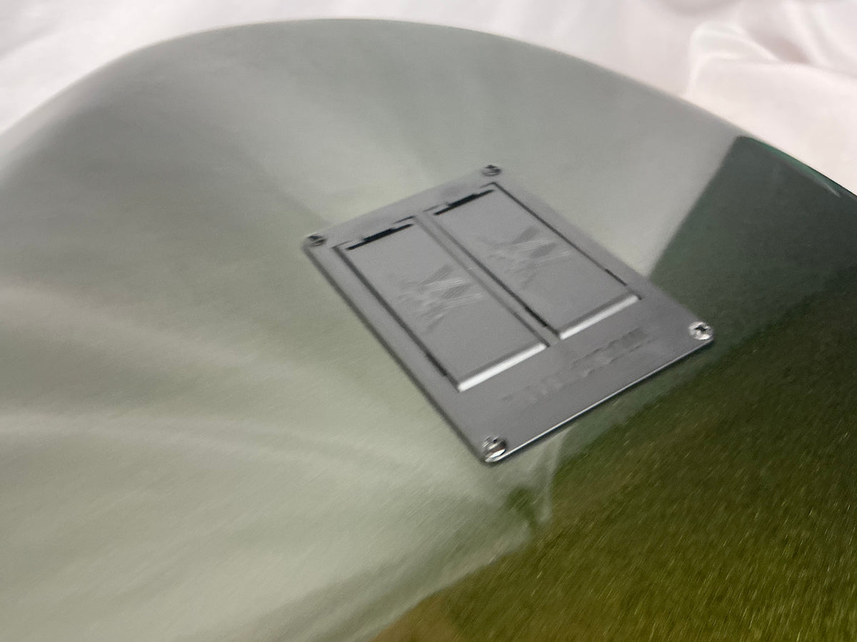 Ernie Ball Music Man StingRay sting ray 5H Bass with Soft Case - Fallout Green