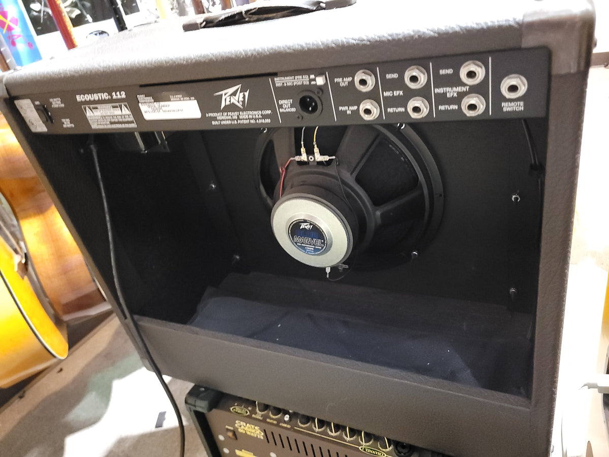 Peavey Ecoustic 112 100-Watt 1x12" Acoustic Instrument Amplification System - Local Pickup Only