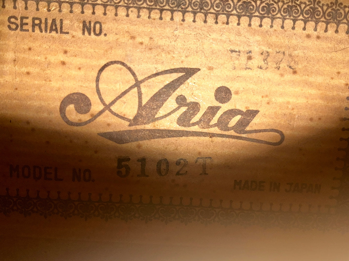 Aria 5102T Semi-Hollow Electric Guitar