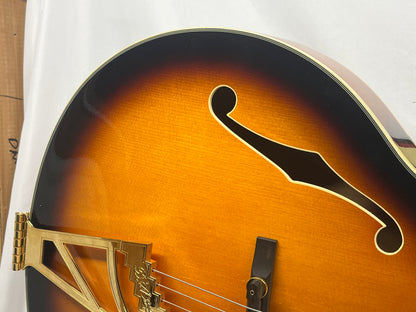 D'Angelico Excel EXL-1 Singlecut Archtop Hollow Body Electric Guitar with Case