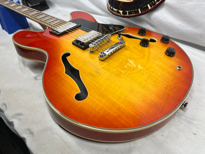 Michael Dolsey Designs Double Cutaway Semi-Hollow Body Electric Guitar