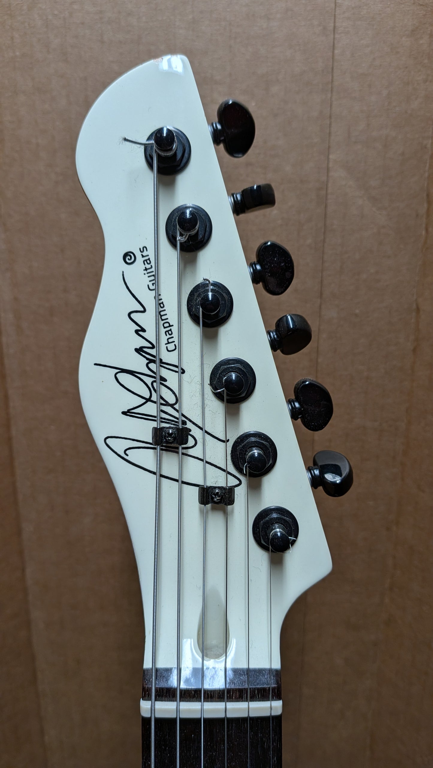 Chapman CAP10 Electric Guitar