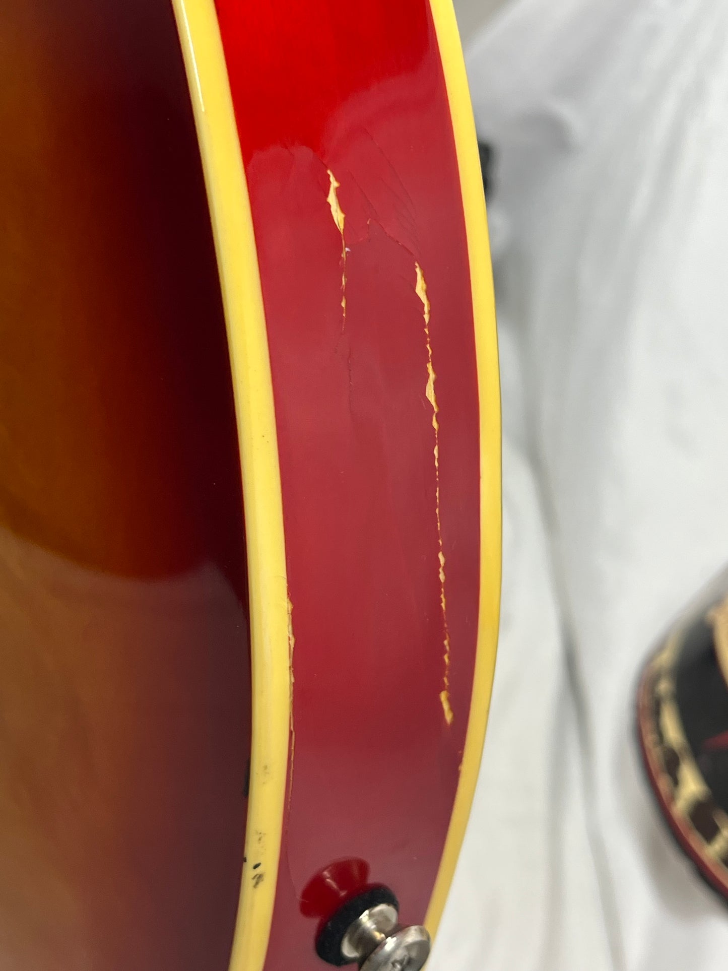 Jay Turser Doublecut Semi-Hollow Body Electric Guitar