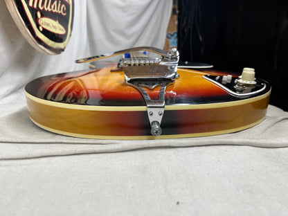 Winston? Semi-Hollow Body Electric Guitar