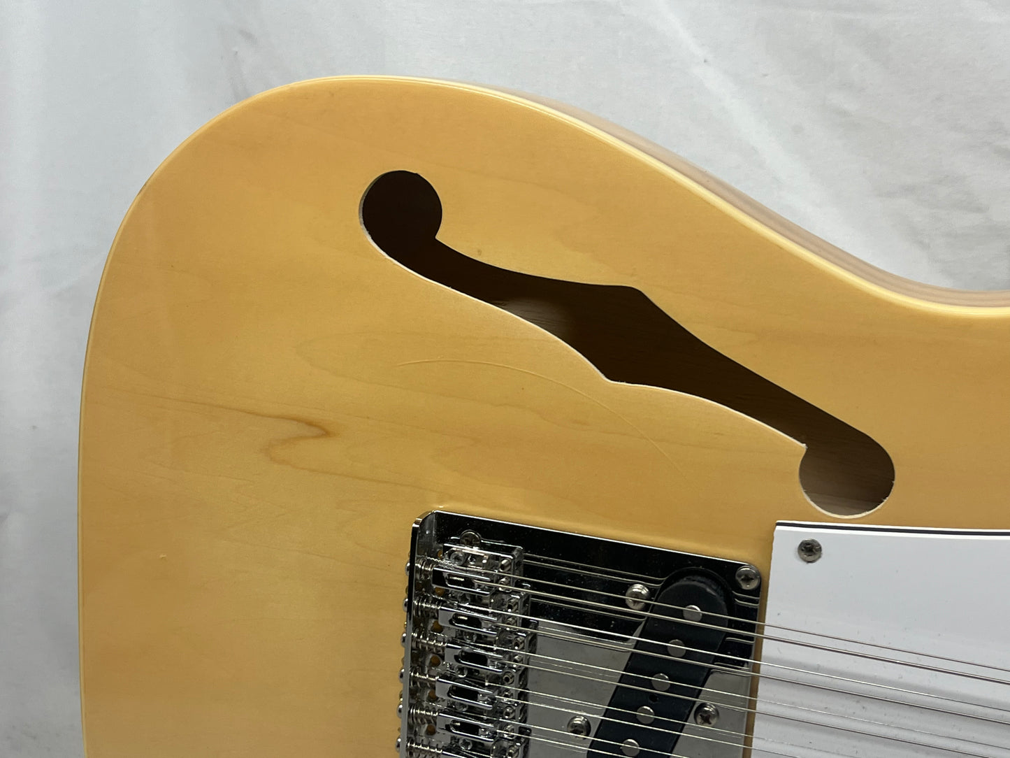 Cozart 12-String Semi-Hollow Body Singlecut Electric Guitar