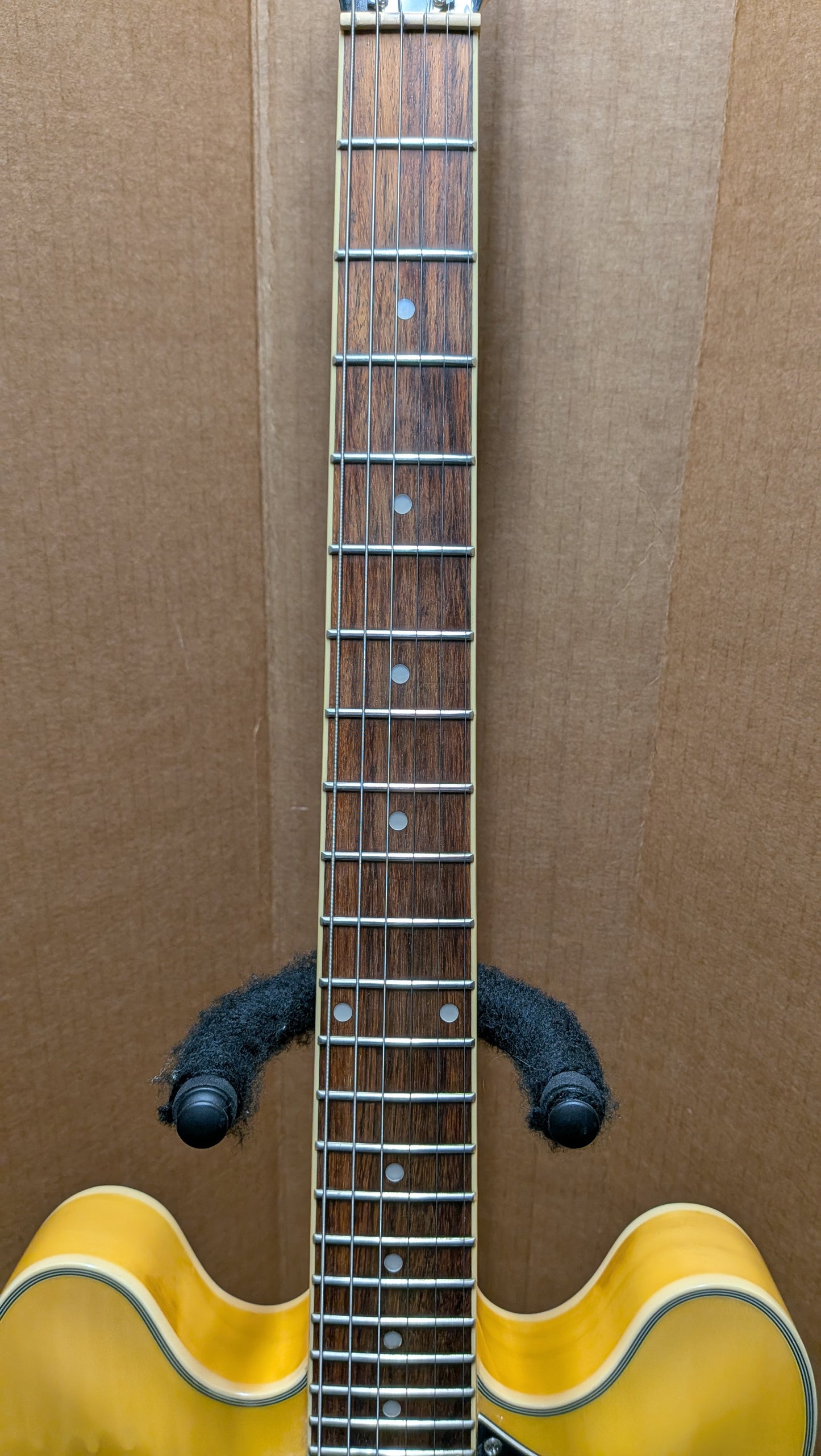 Jay Turser Semi-Hollow Electric Guitar