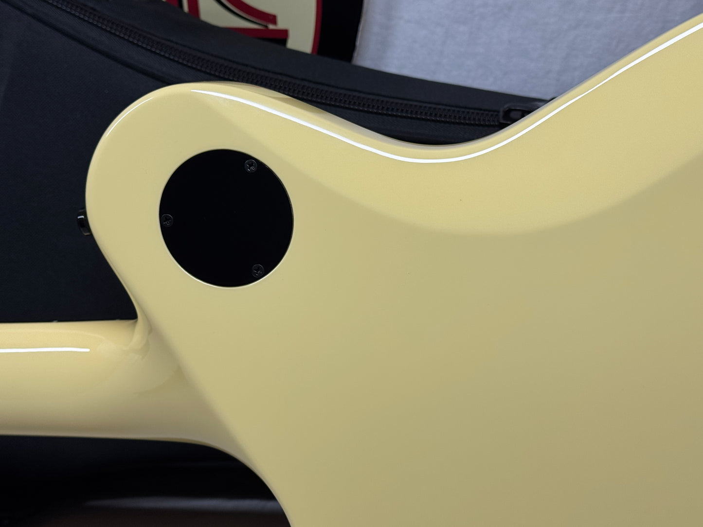 Kiesel SCB6 Singlecut Guitar with Gig Bag