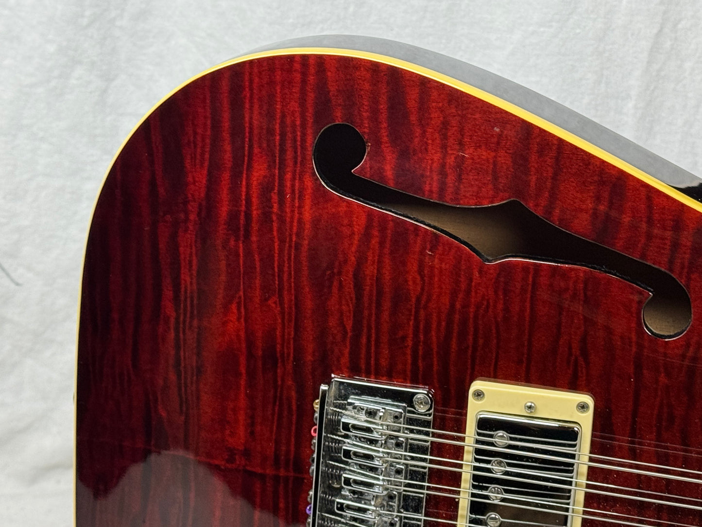 Schecter Diamond Series C/SH-12 Semi-Hollowbody 12-string Guitar with Case 2005