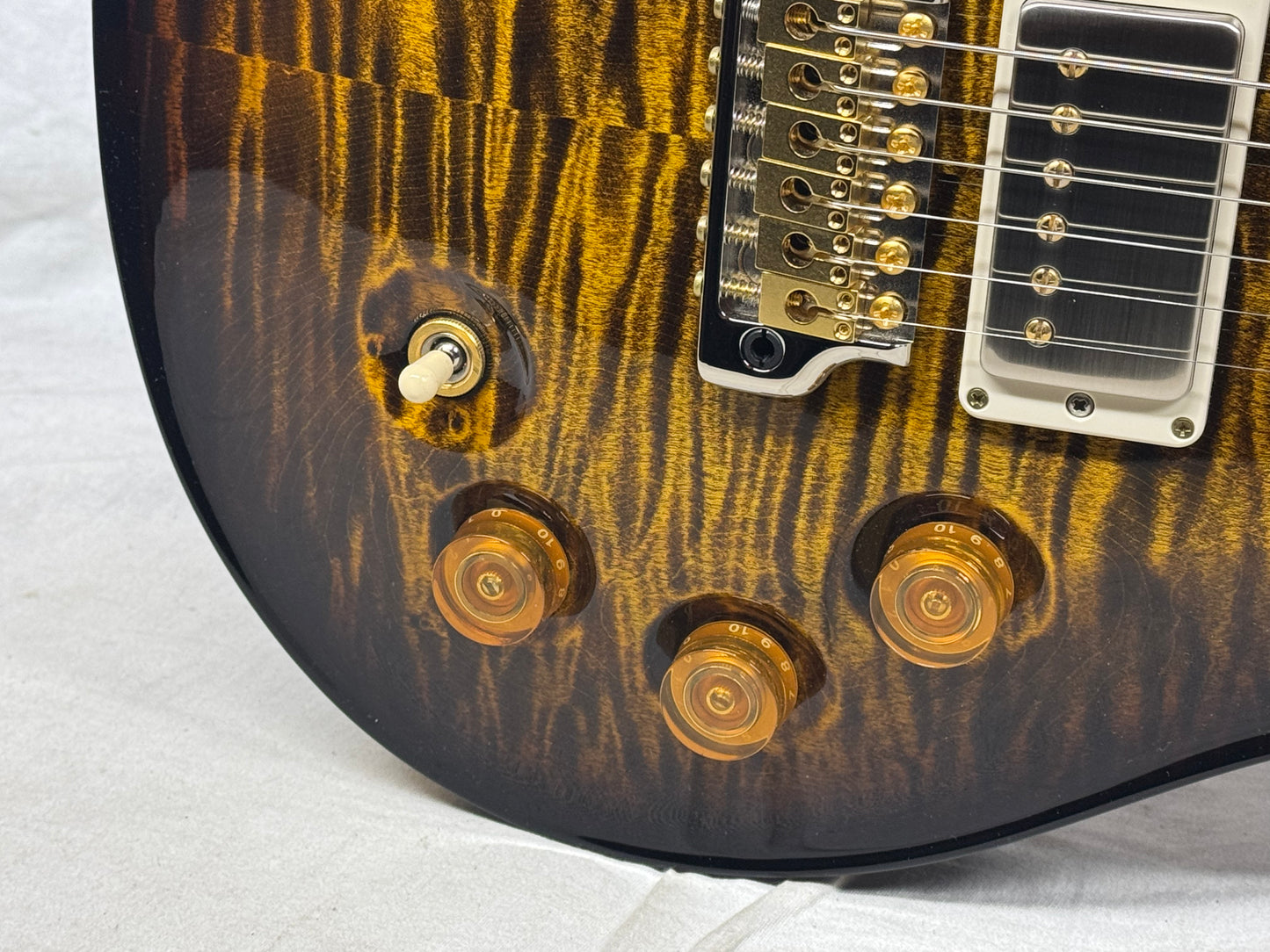 PRS Paul Reed Smith DGT David Grissom Tremolo Birds 10-Top Guitar with Case 2024