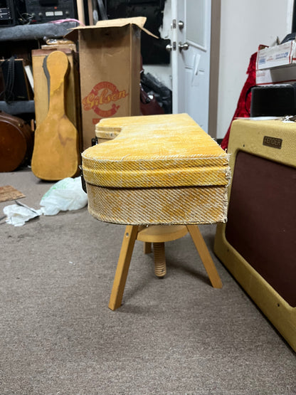 Fender Rare Vintage Poodle Case for Stratocaster or Telecaster