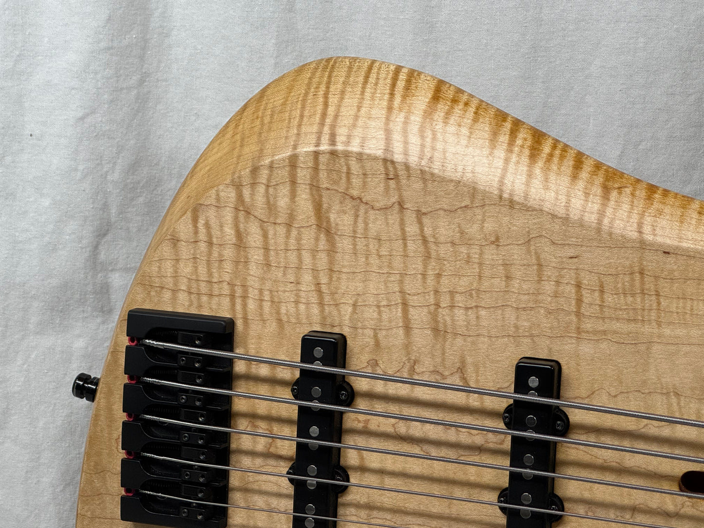 Prat Custom 5-string Bass with Wolfpak Soft Case