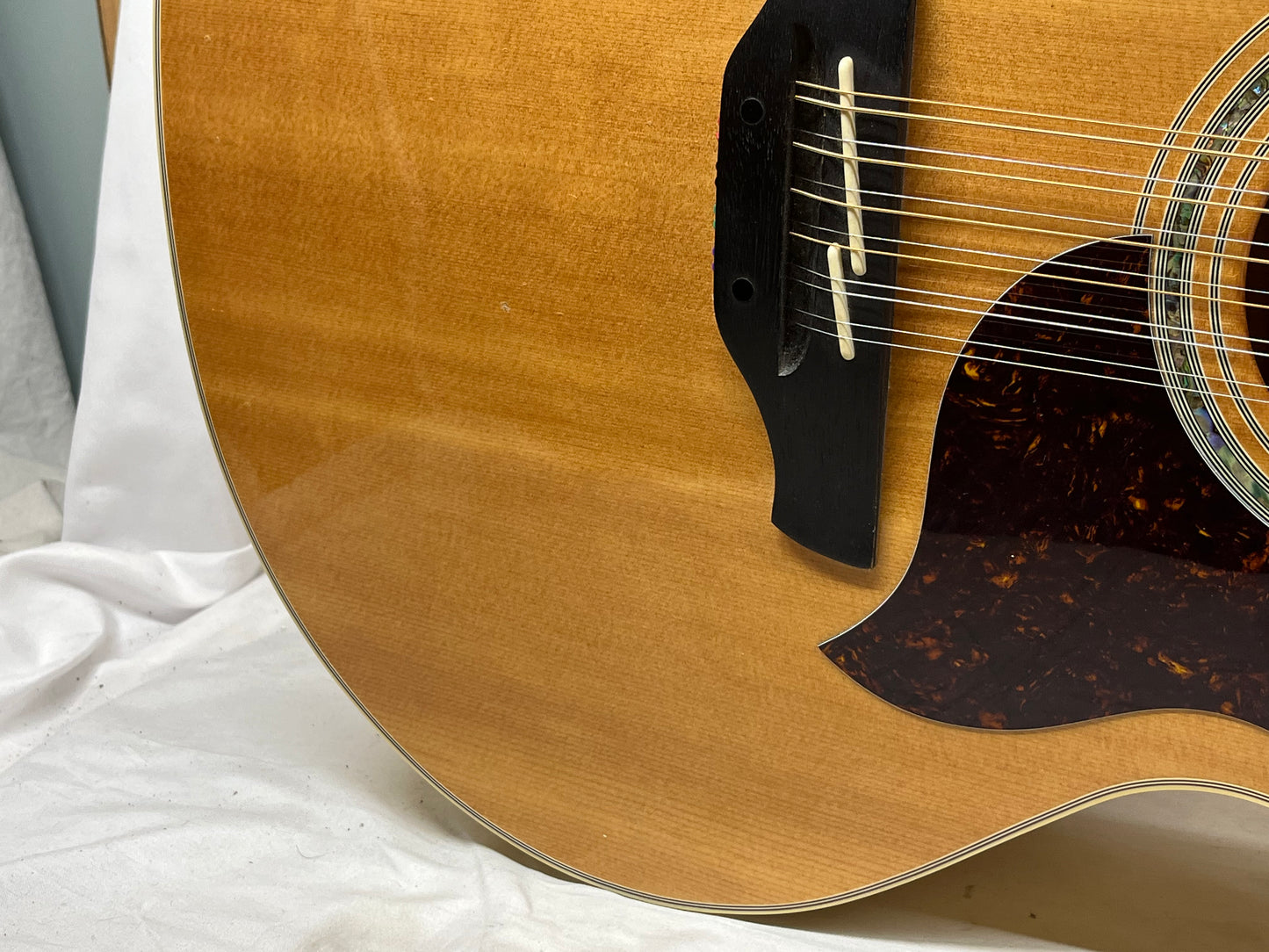 Takamine EG523SC-12 12-String Acoustic Electric Guitar - Crack in the Back