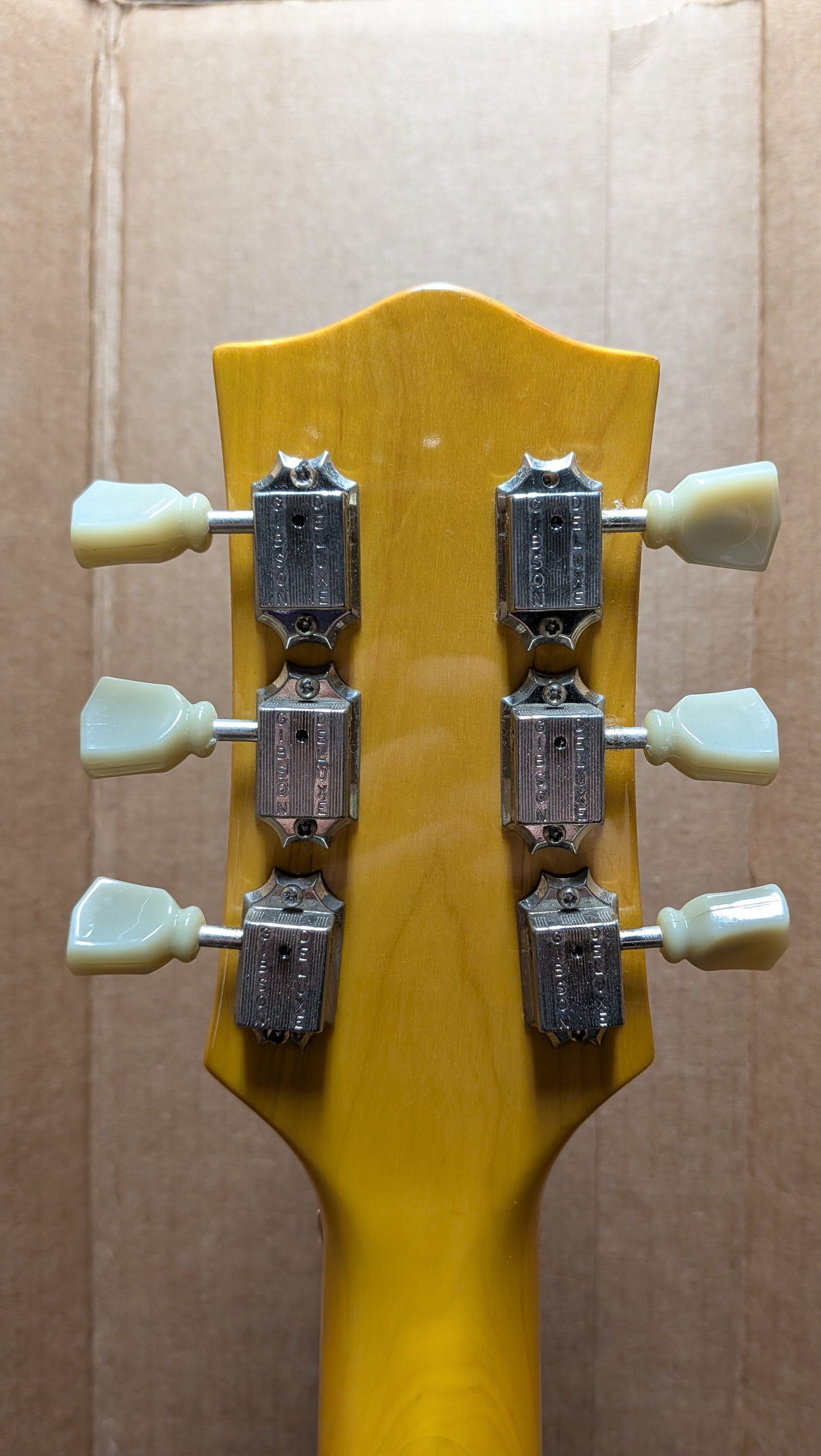 Jay Turser Semi-Hollow Electric Guitar