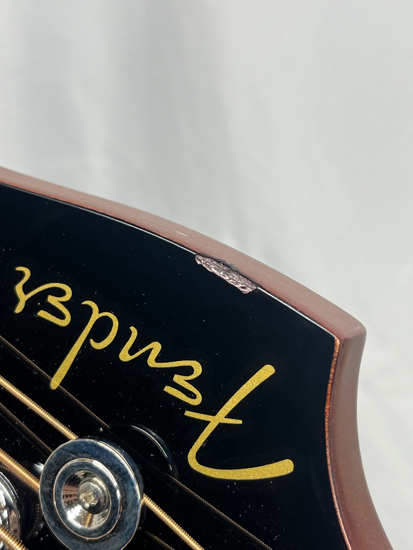 Fender Kingman Acoustic/Electric Bass with Gig Bag