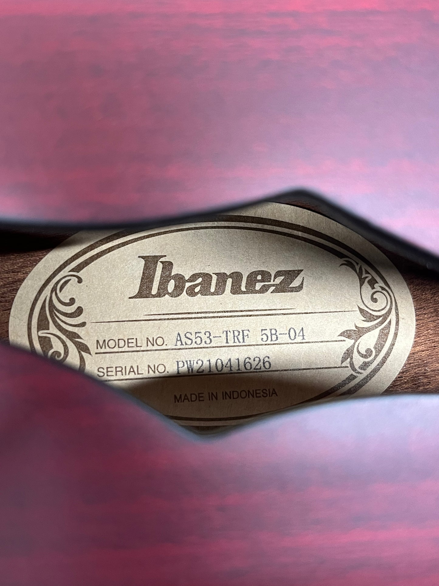 Ibanez AS53-TRF 5B-04 Semi-Hollow Body Electric Guitar