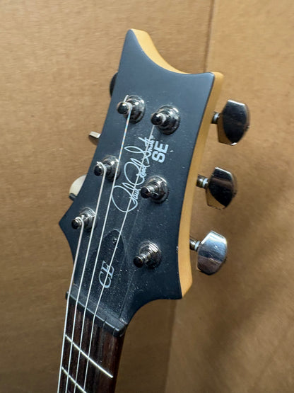 PRS SE Swamp Ash CE 24 - Sandblasted Limited Edition - Green