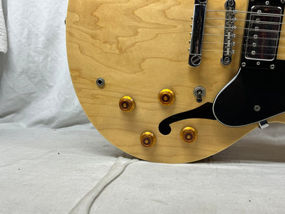 Epiphone Dot Semi-Hollow Body Electric Guitar
