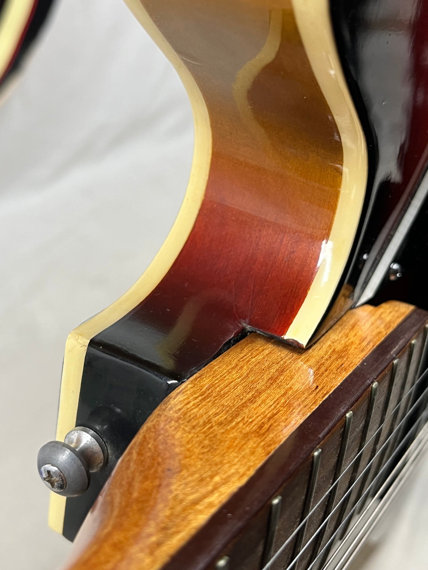 Winston? Semi-Hollow Body Electric Guitar