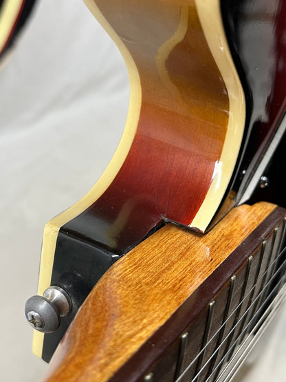 Winston? Semi-Hollow Body Electric Guitar