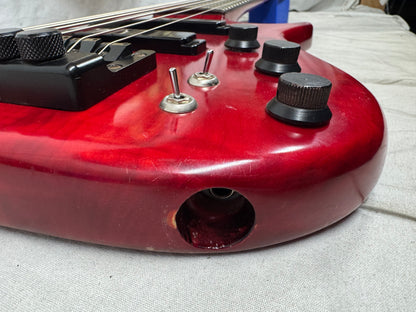 Manne Sedona 6 Prototype 6-string Bass with Case
