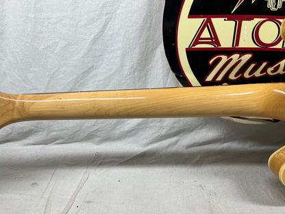 Epiphone Dot Semi-Hollow Body Electric Guitar