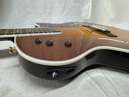 Taylor Thinline T5C1 t5 c1 Hollow Body Guitar with Case 2013