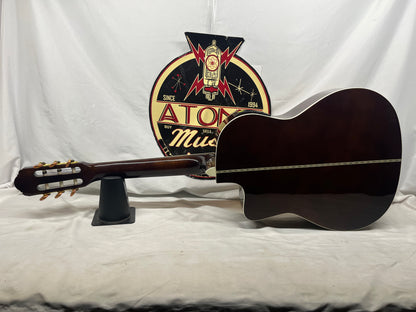Esteban Granada Classical Acoustic Guitar and G10 Amplifier Like New