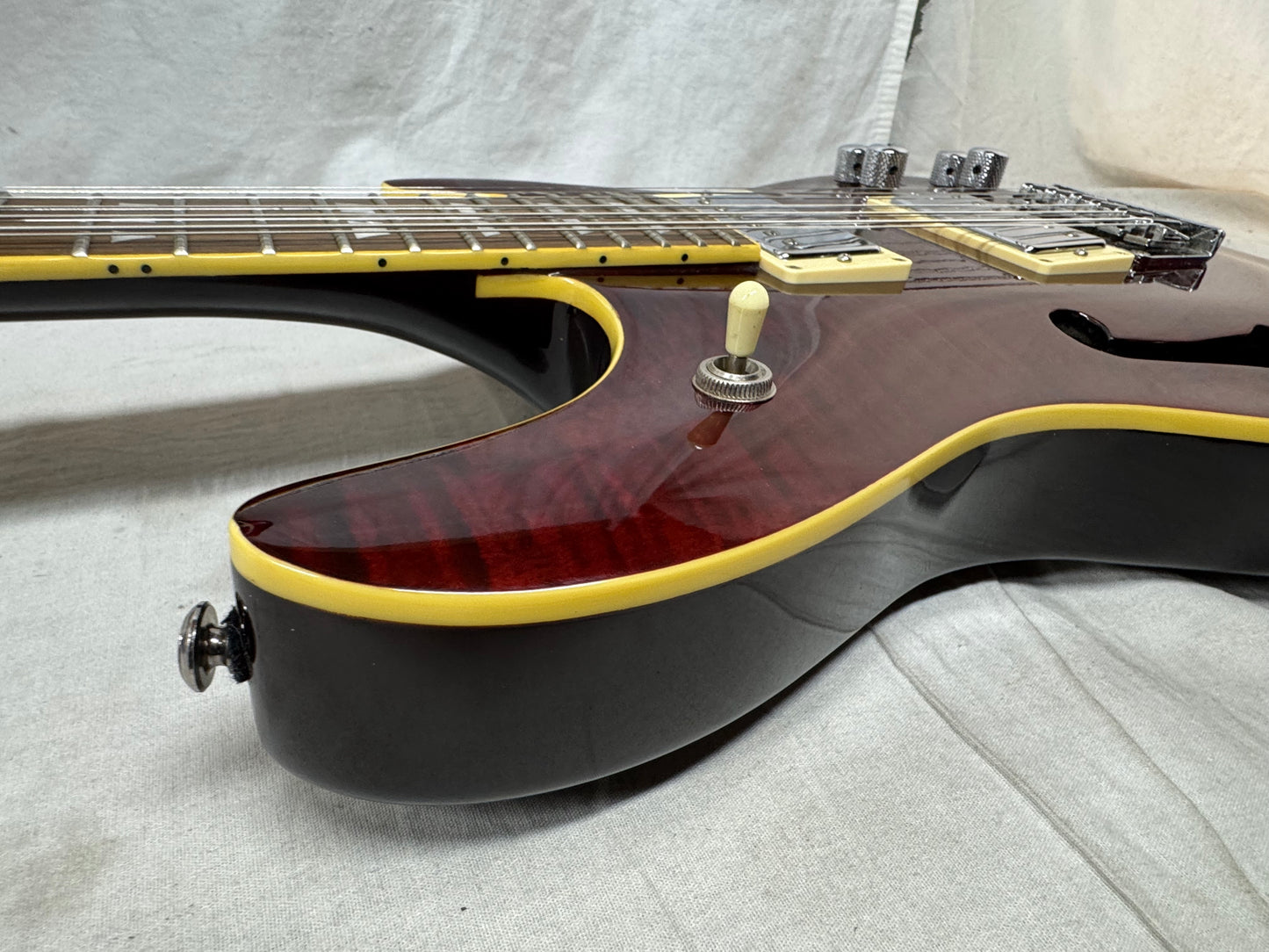 Schecter Diamond Series C/SH-12 Semi-Hollowbody 12-string Guitar with Case 2005