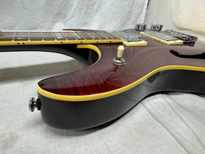 Schecter Diamond Series C/SH-12 Semi-Hollowbody 12-string Guitar with Case 2005