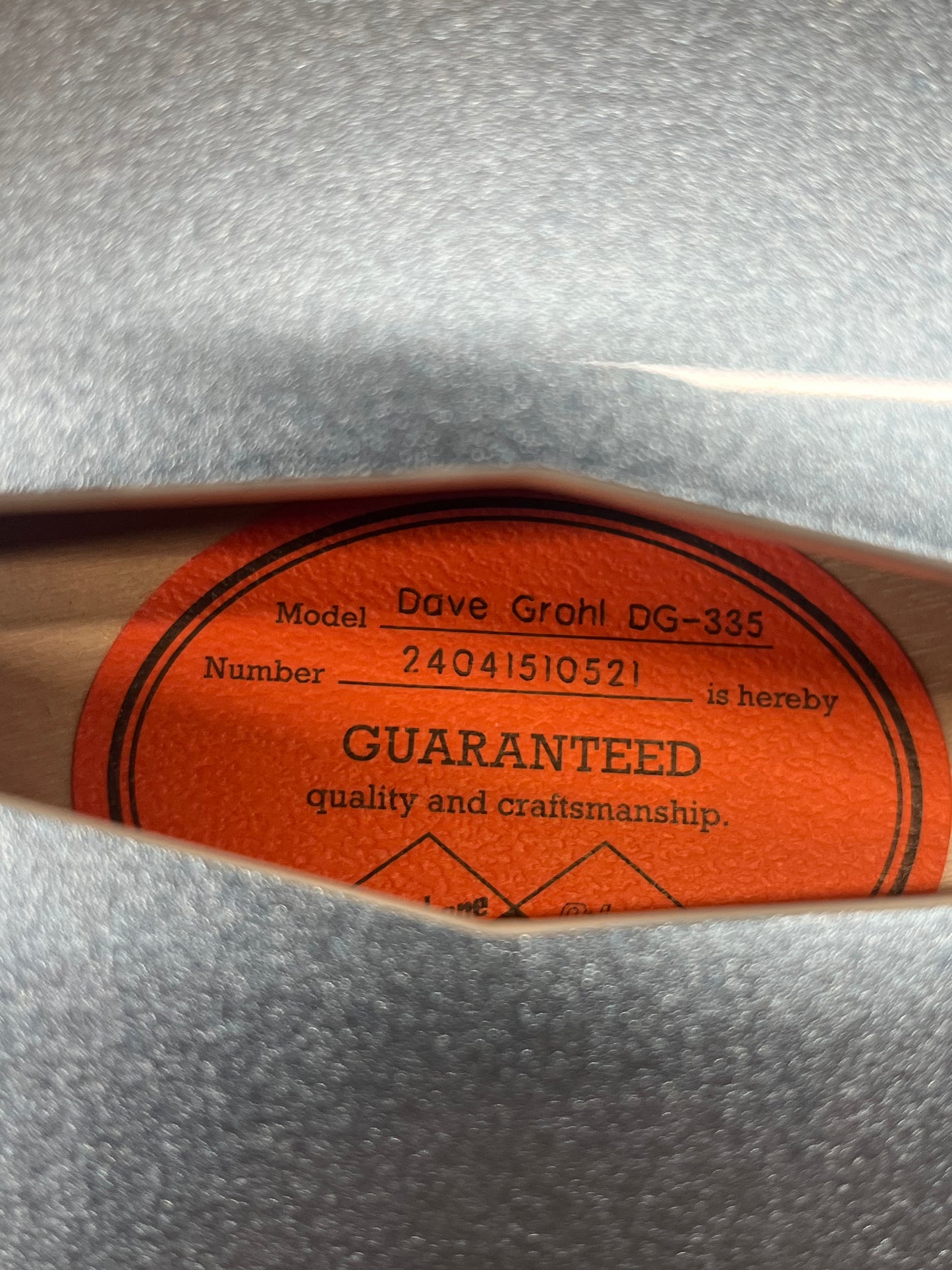 Epiphone Dave Grohl Signature Model DG-335 Semi-Hollow Body Electric Guitar with Original Case