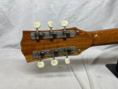 Winston? Semi-Hollow Body Electric Guitar