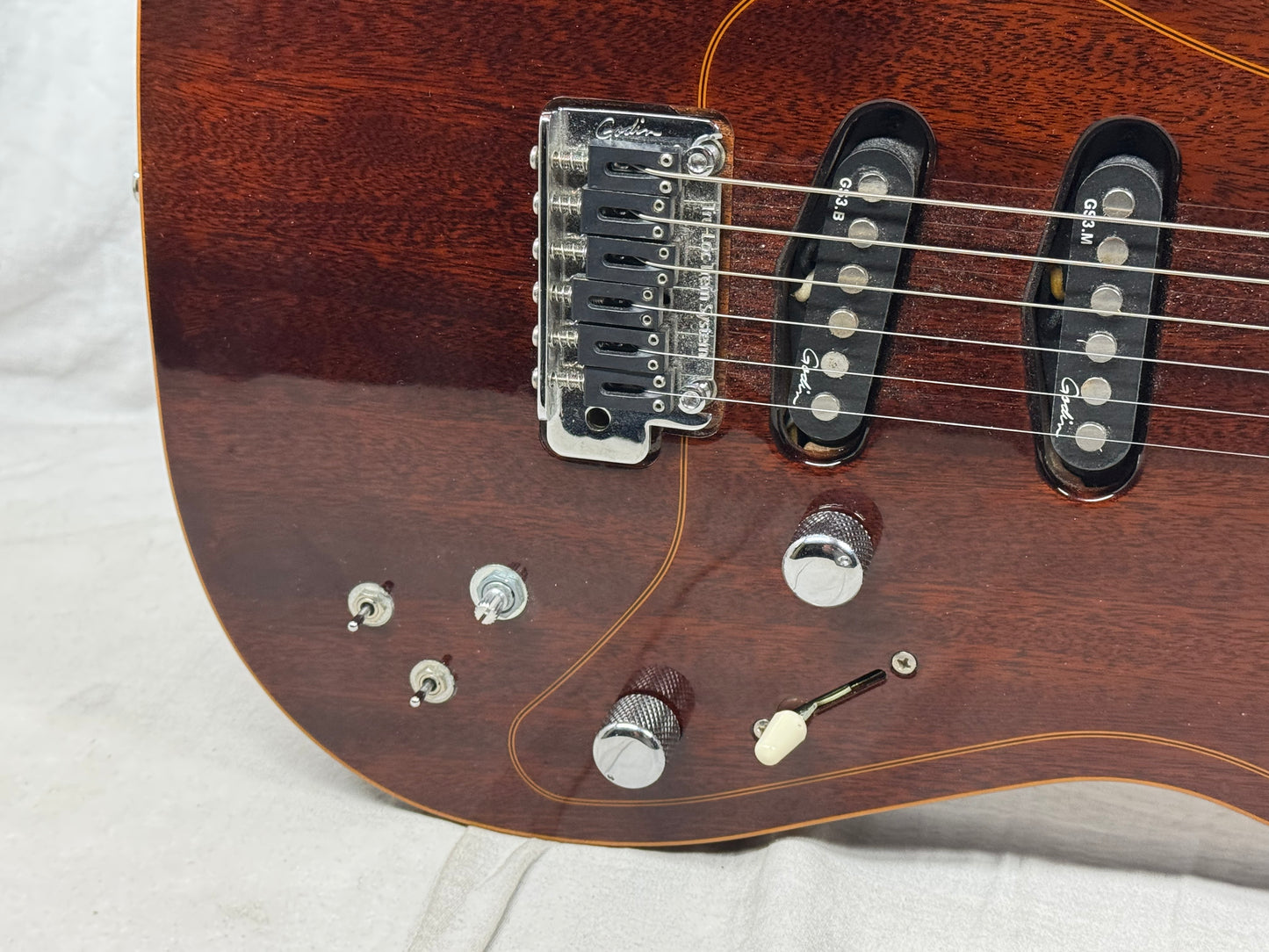 Godin Passion Series RG.2 rg2 rg-2 Guitar 2012
