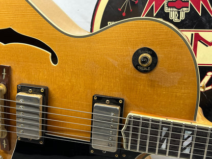 Washburn J-6S Hollow Body Electric Guitar