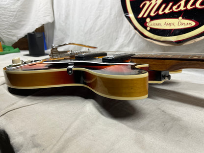 Winston? Semi-Hollow Body Electric Guitar