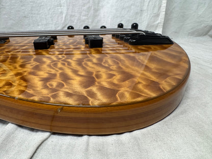 Parker USA FB-5 fb5 Fly 5-string Bass
