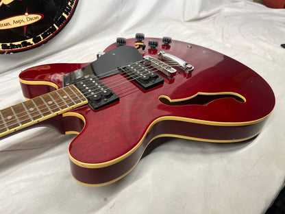 Discovery Semi-Hollow Body Electric Guitar