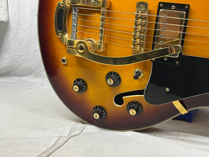 Aria Pro II TA-65 Semi-Hollow Body Electric Guitar