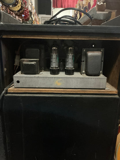Gibson Thor Bass Combo Amplifier - Local Pickup Only