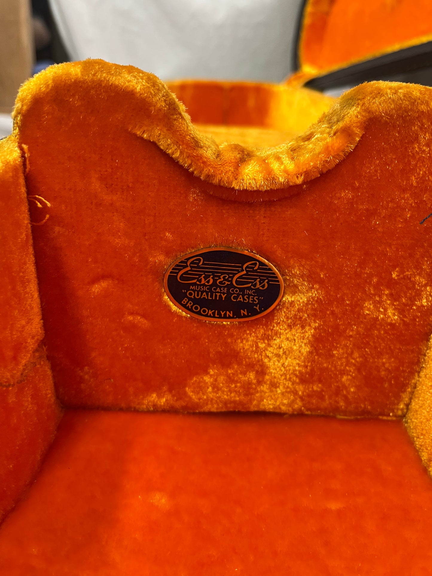 Ess & Ess Archtop Guitar Case