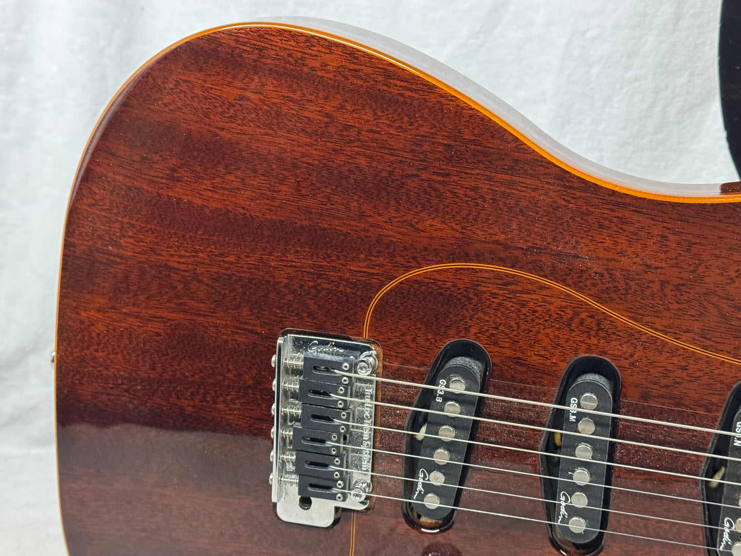 Godin Passion Series RG.2 rg2 rg-2 Guitar 2012