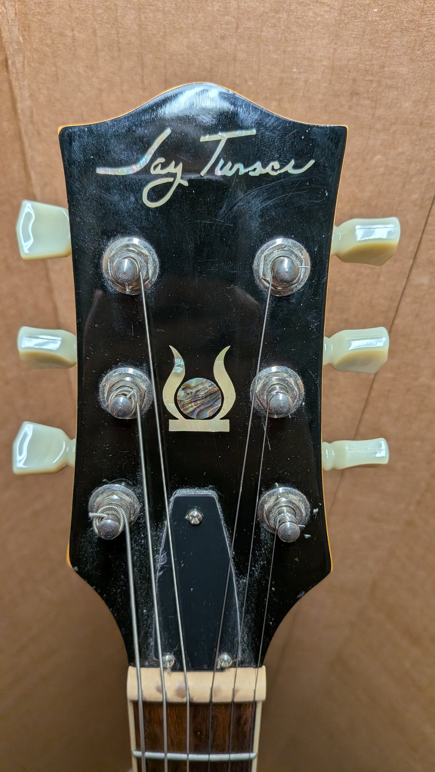 Jay Turser Semi-Hollow Electric Guitar