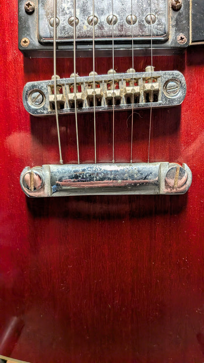Aria Pro II TA-40 Semi-Hollow Electric Guitar