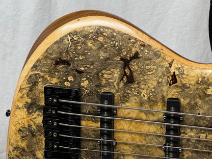 T Smith Guitars Tom W. Smith TS 5-string J-style Bass 2015