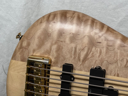Spector Chuck Levin's Exclusive chucksclusive Euro Series Euro 5 LT euro5lt 5-string Bass with Case