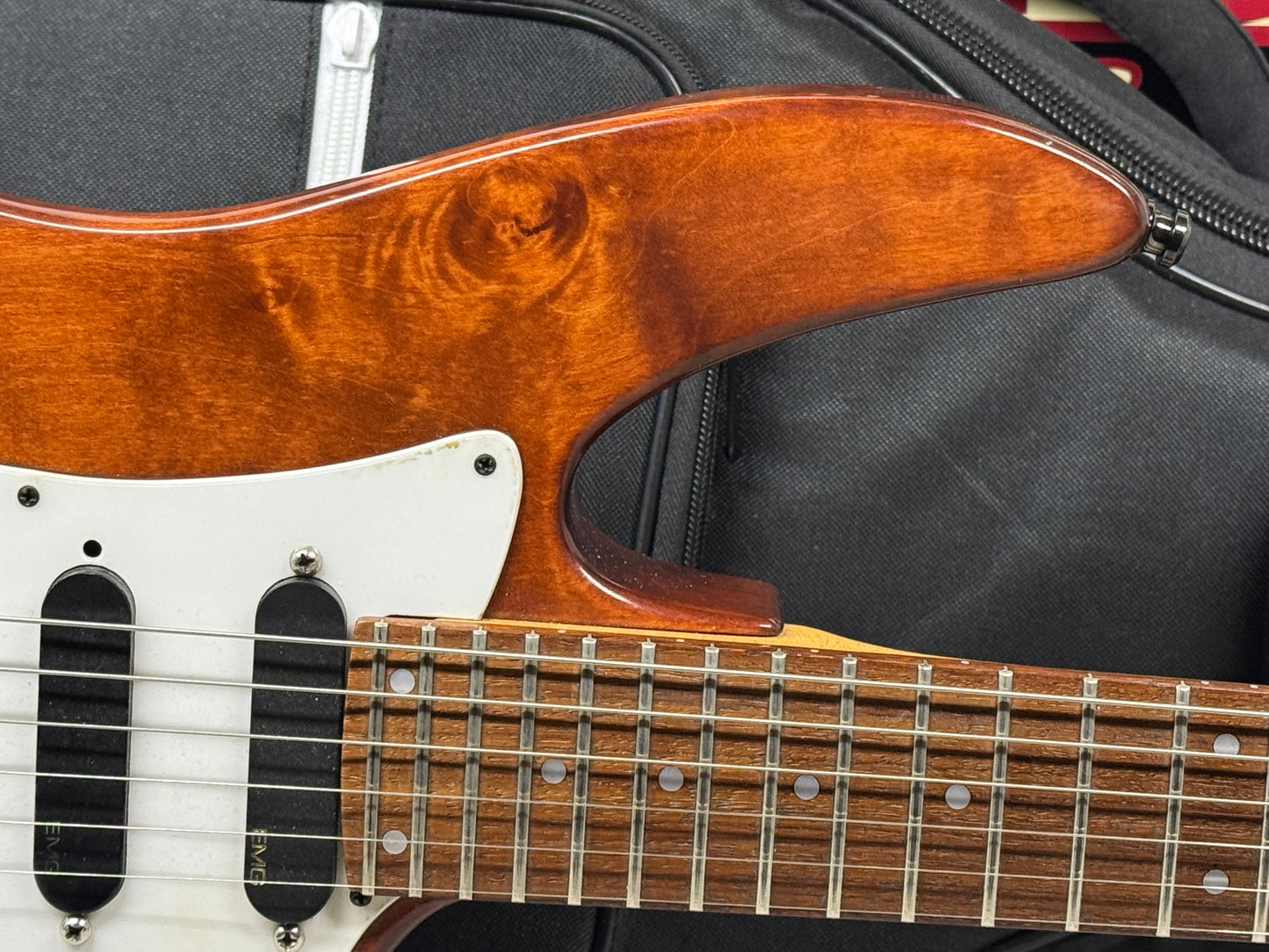 Godin G Series G4000 g 4000 Guitar with Gig Bag 1996