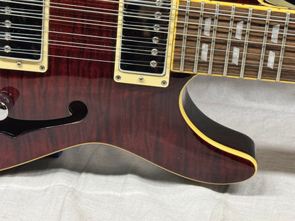 Schecter Diamond Series C/SH-12 Semi-Hollowbody 12-string Guitar with Case 2005