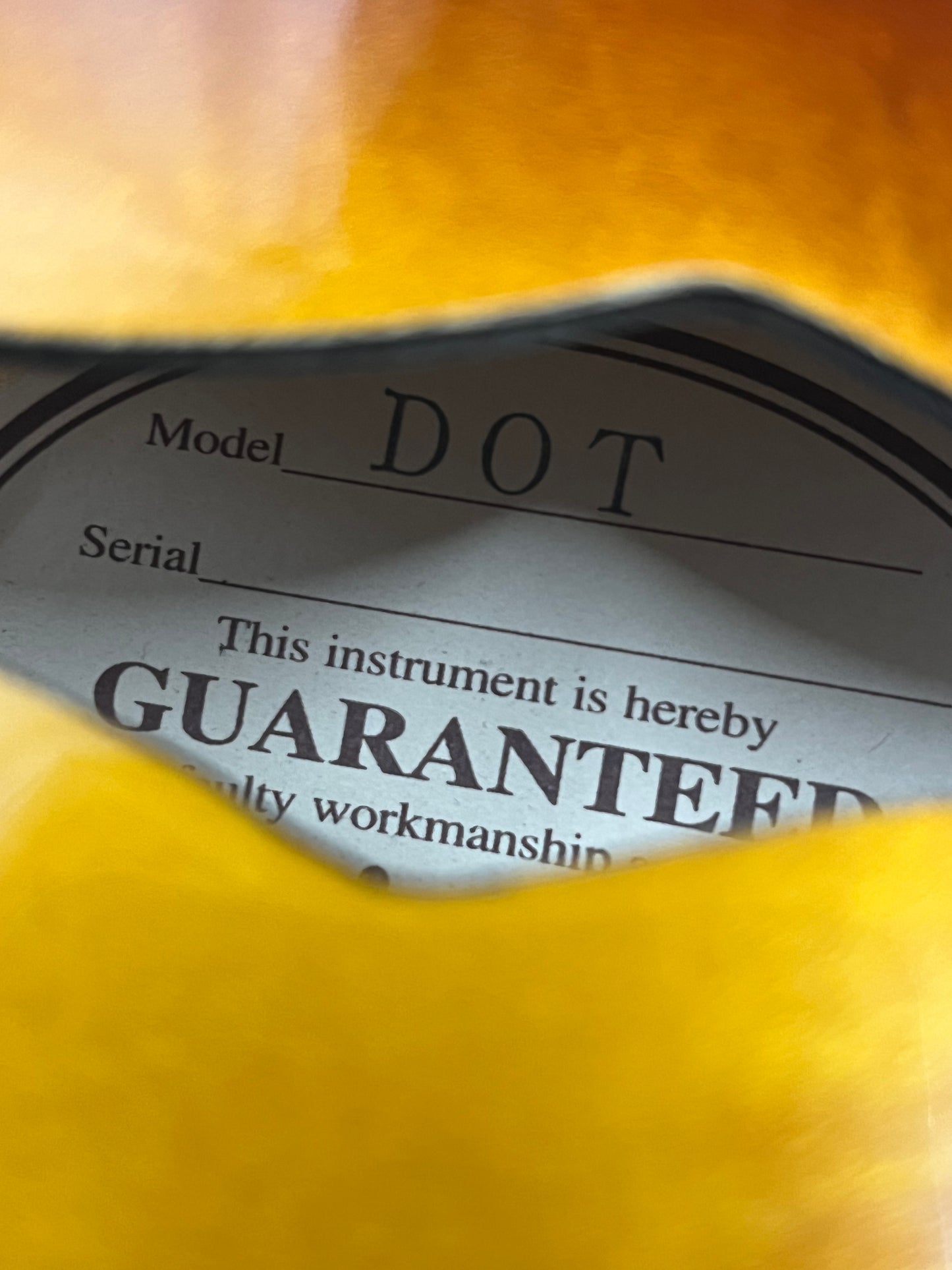 Epiphone Dot Semi-Hollow Body Electric Guitar