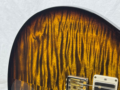 PRS Paul Reed Smith DGT David Grissom Tremolo Birds 10-Top Guitar with Case 2024
