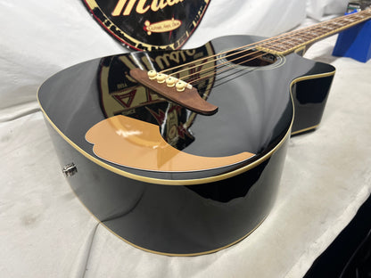 Fender Kingman Acoustic/Electric Bass with Gig Bag